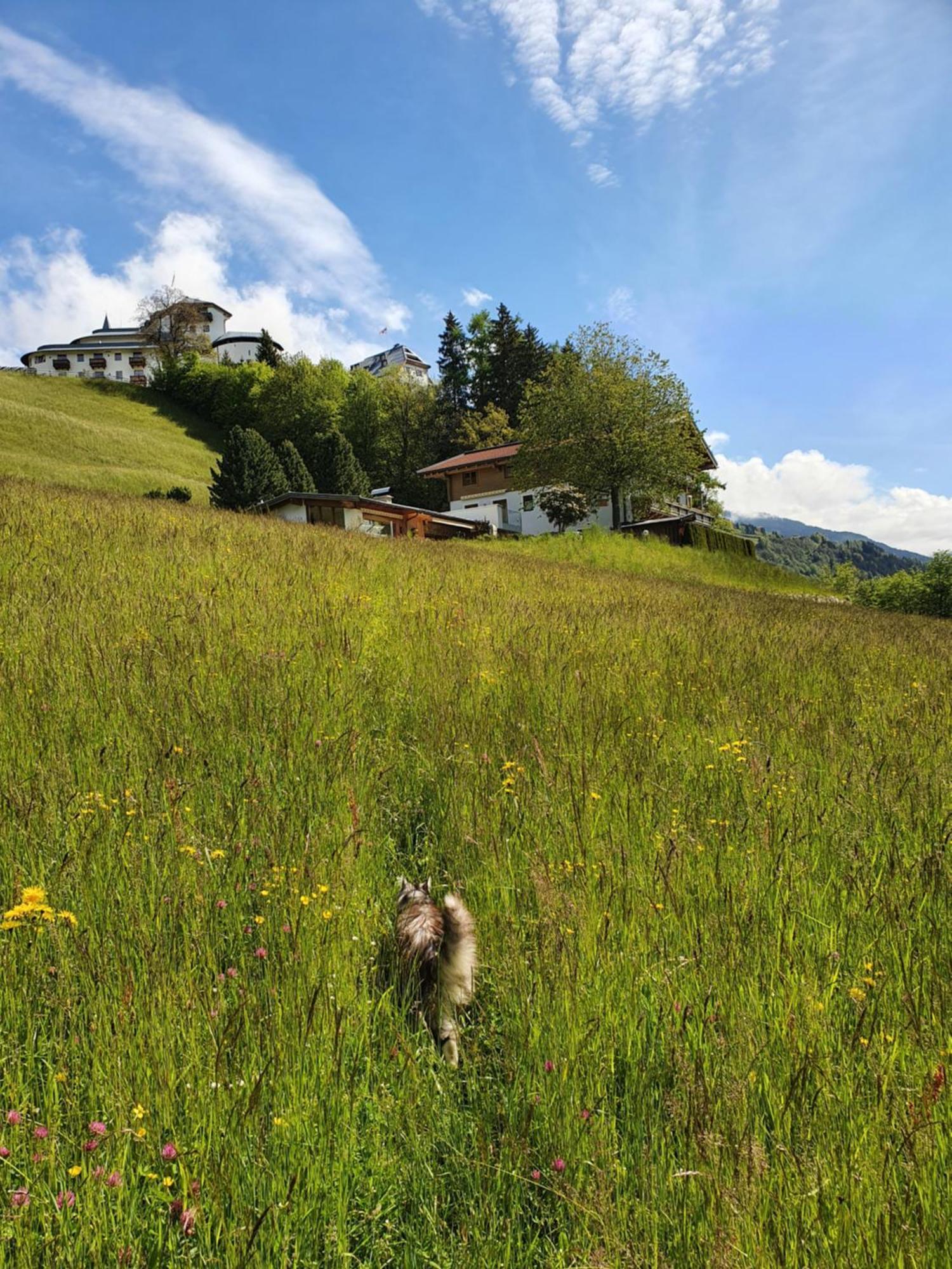 Pension Schlossberg ミッタージル エクステリア 写真