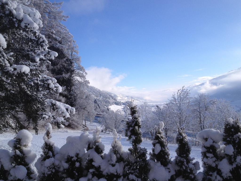 Pension Schlossberg ミッタージル エクステリア 写真